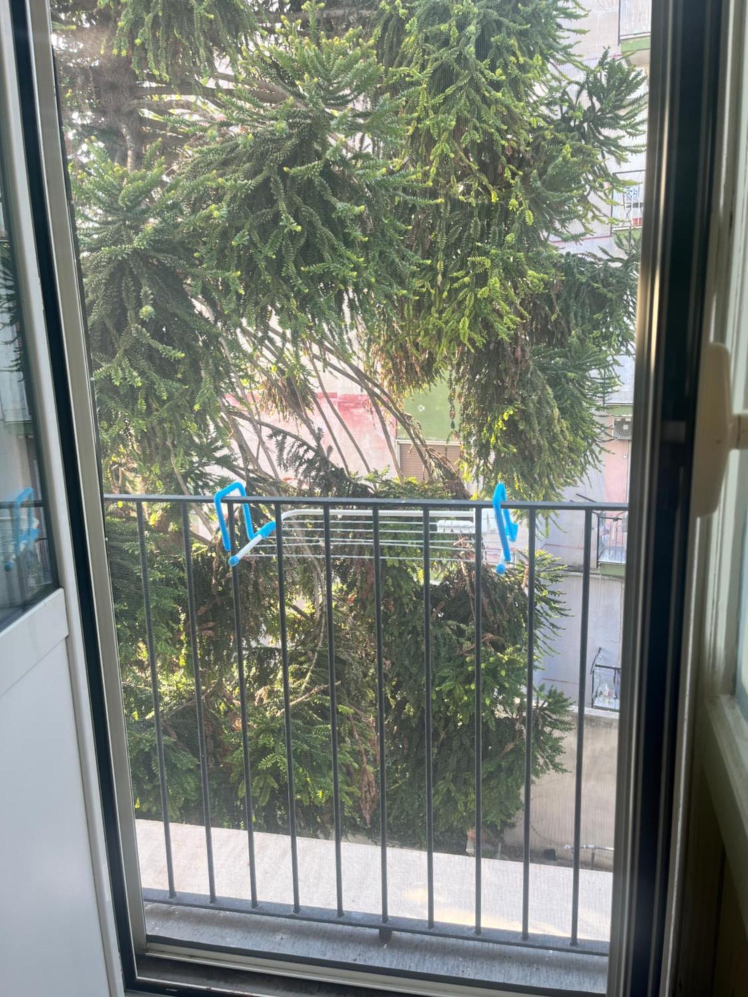 Mediterraneo Apartment Ercolano Dış mekan fotoğraf
